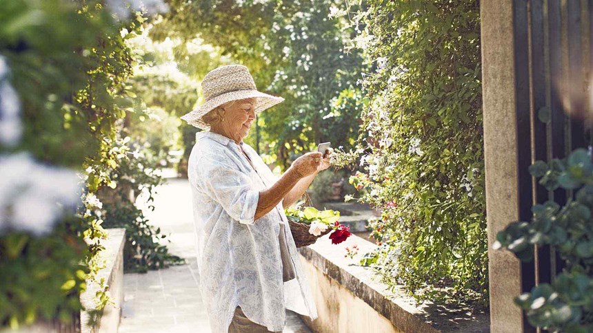 一位老妇人正在花园采花